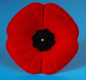 poppy