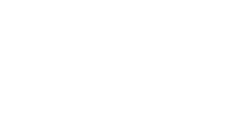 Quality Inclusive Support Services logo
